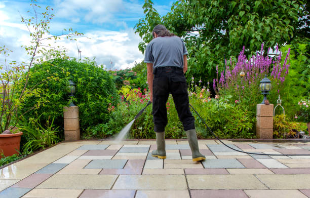 Best Pre-Holiday Cleaning  in Mickleton, NJ